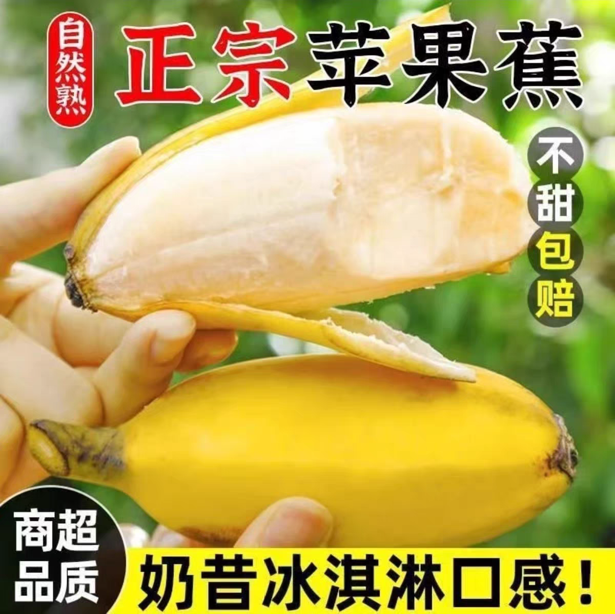 正宗广西苹果蕉banana新鲜时令