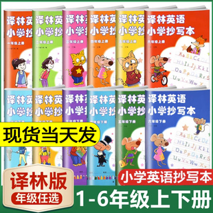 译林版小学英语抄写本 一二三四五六年级上下册(优化版)套装123456年级配套译林版小学英语课本教科书英语字帖同步写字译林出版社