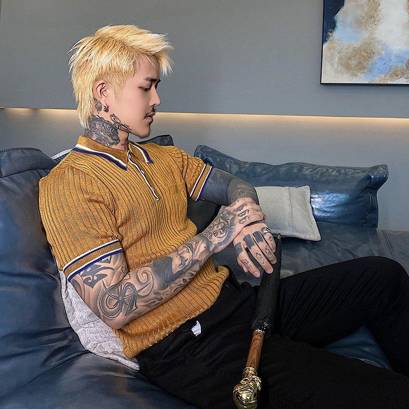 白鹤大人雅痞风弹性面料绅士修身显身材精神短袖翻领t恤polo衫