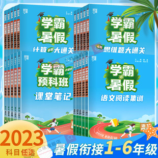 学霸的暑假衔接作业一二三四五六年级上下册人教北师江苏教版语文阅读集训课堂笔记数学计算思维大通关同步训练习册题复习预习