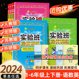 2024新版实验班提优训练二年级下册三年级下册一年级四年级五六年级语文人教版数学苏教版同步练习册上英语训练春雨期中期末试卷子