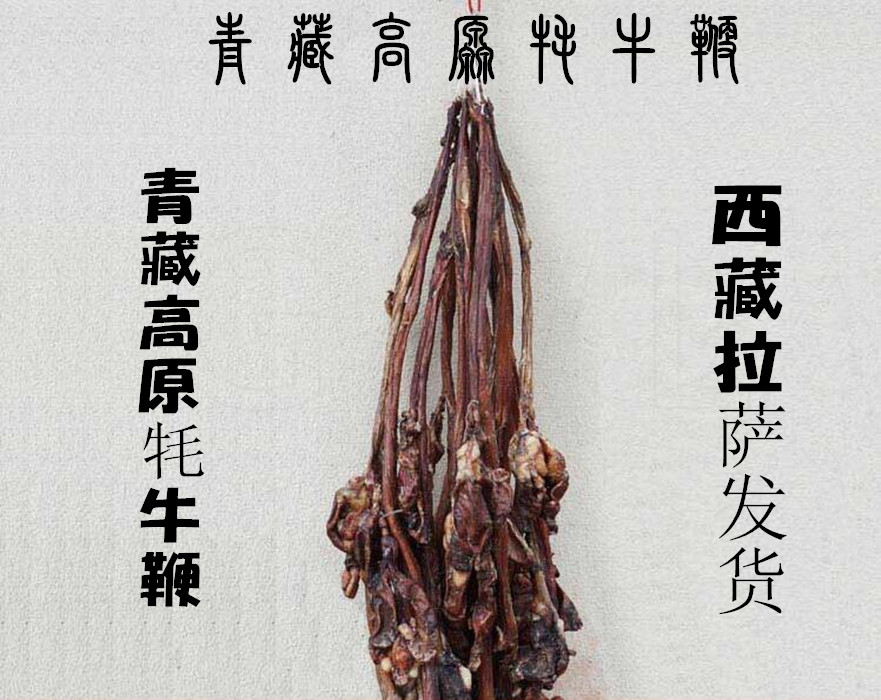 西藏特产牦牛鞭 正宗青藏高原泡酒料药材 男人滋补佳品产地直销
