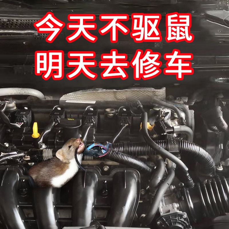 车载驱鼠膏有车族必备汽车防鼠神器发动机仓防鼠包专用车用上用品在类目 汽车/用品/配件/改装, 汽车外饰品/加装装潢/防护, 汽车防护, 车载驱鼠器中 - 来自Buy2taobao.com提供专业的淘宝代购服务