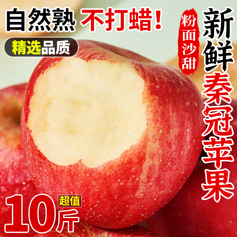 陕西秦冠粉面沙甜苹果10斤当季现摘