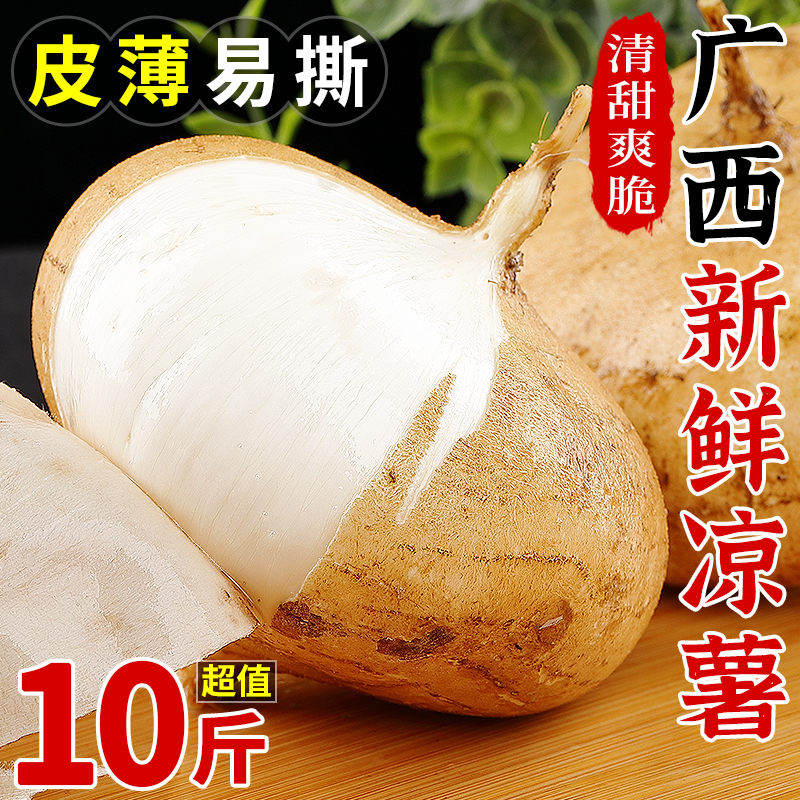 广西凉薯10斤新鲜现挖农家当季蔬菜