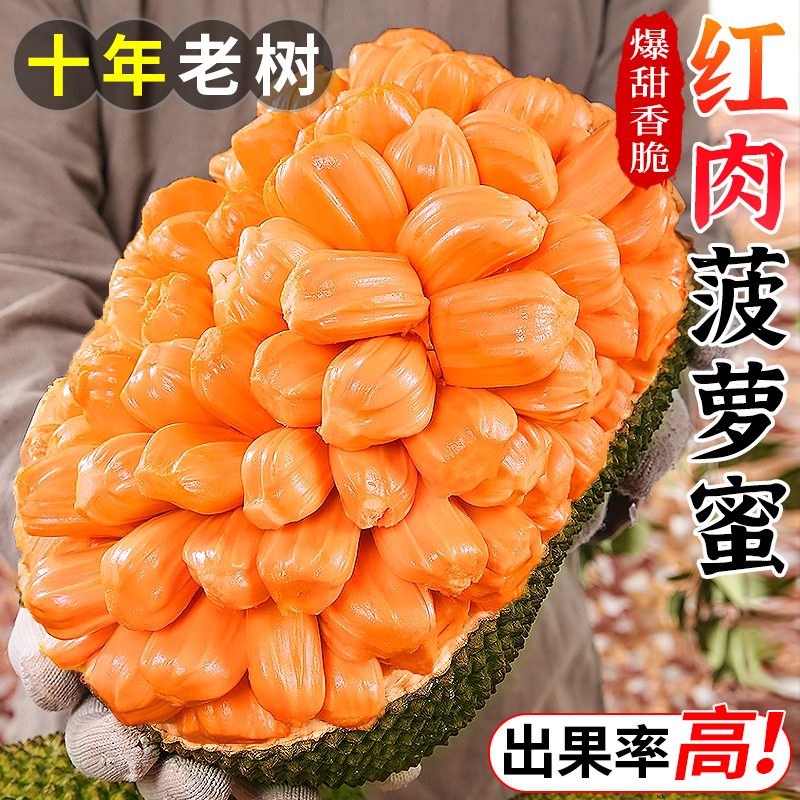 越南红肉菠萝蜜一整个18斤应当季树