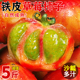 新鲜铁皮草莓柿子5斤应当季西红柿生吃水果碱地盘锦绿腚番茄包邮3