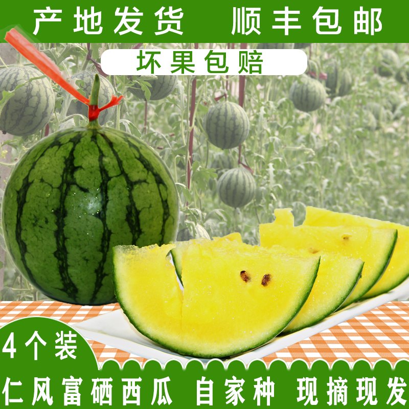 仁风西瓜水果新鲜黄心黄瓤黄肉冰淇淋西瓜富硒薄皮小西瓜巴掌大