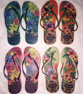 coach腰帶金色 現貨巴西代購哈瓦那slim tropical細帶人字拖havaianas女士金色鞋 coach腰帶圖片