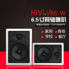 Hivi/惠威 VR6-W吸顶喇叭 吸顶音响 立体声 背景音乐喇叭工程使用