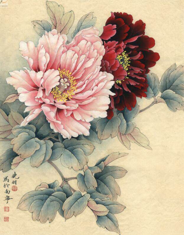工笔画系列之粉牡丹(32幅可选)
