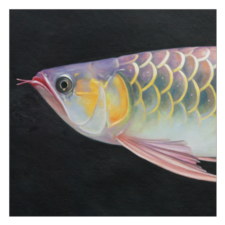 陈志纯《金龙鱼》布面油画 60cmx90cm 学院派职业画家