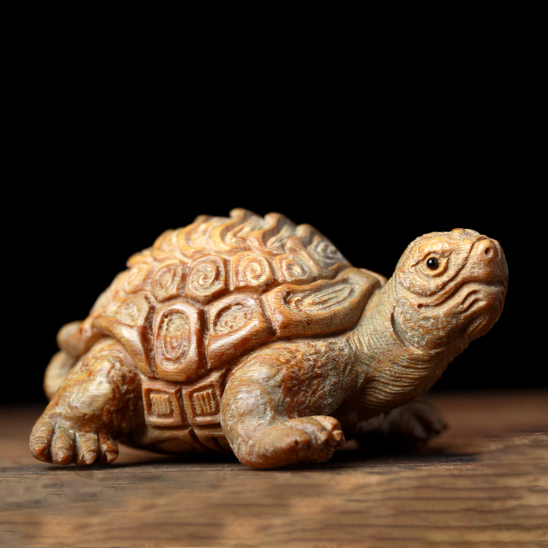 成吉思汗鲨鱼是鲨鱼吗_d之一族是神的天敌_鲨鱼的天敌是什么