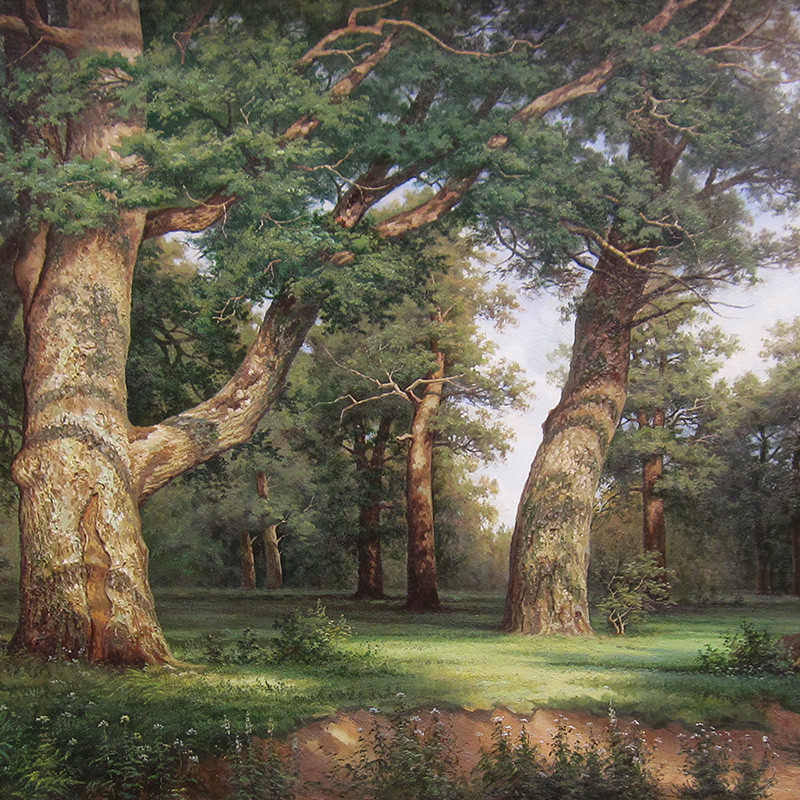 临摹希施金 《橡树林》大尺幅 布面油画
