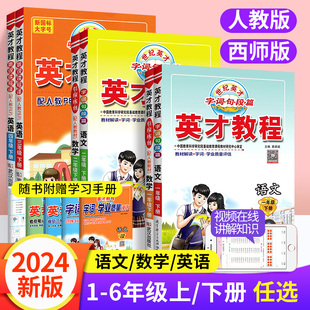 2024新版英才教程一二三四年级五六年级上册下册语文人教版数学西师版英语课堂笔记 小学课本同步教材全解解读部编字词句篇练习册