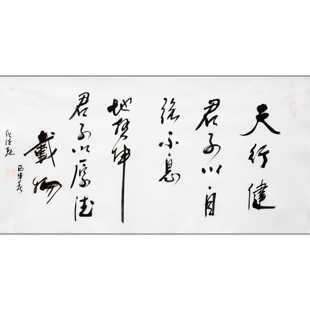 任法融《天行健君子以自强不息》保真 提供写作视频 博悦艺术收藏