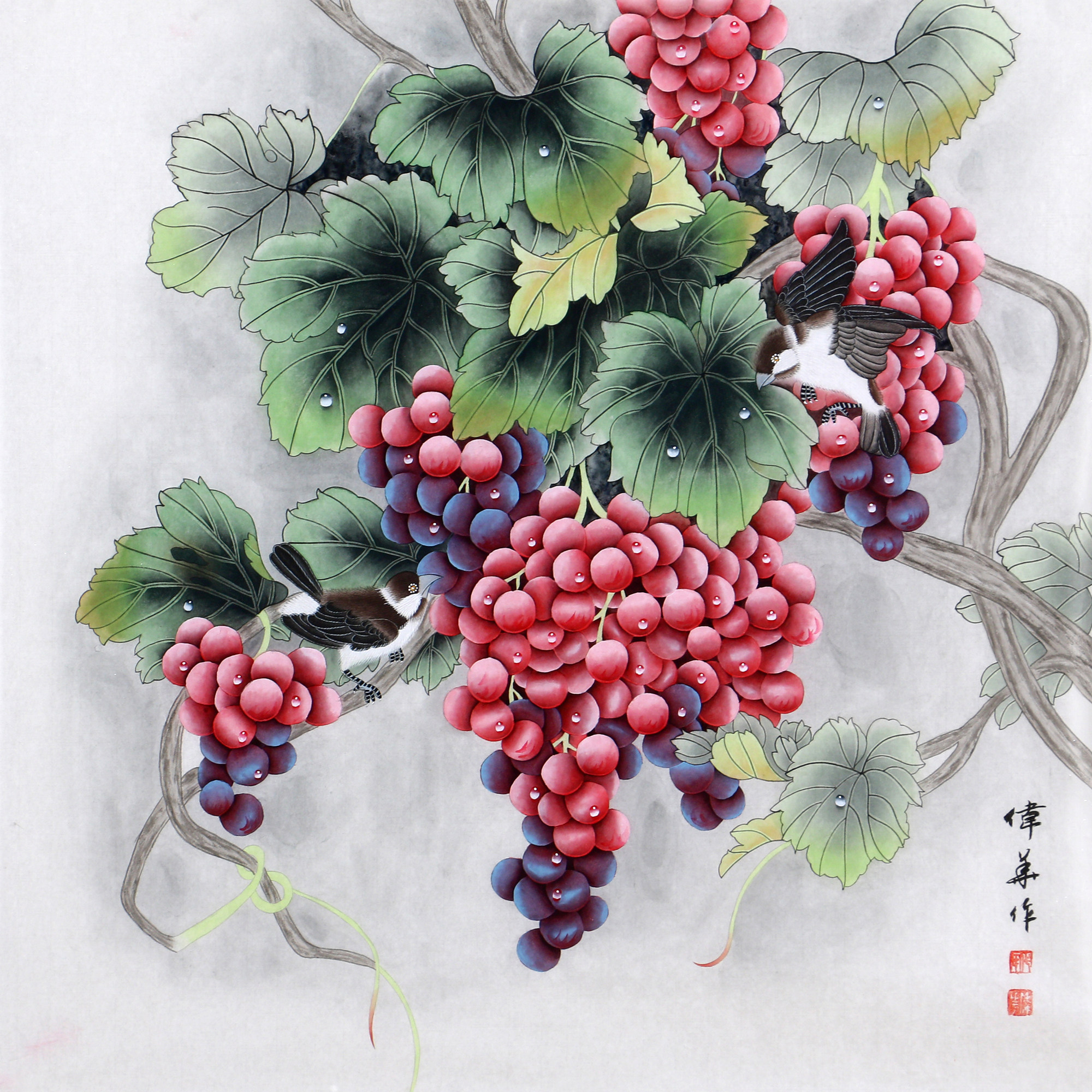 【直供周】代伟华 《斗方葡萄》中国传统工笔画研究会理事