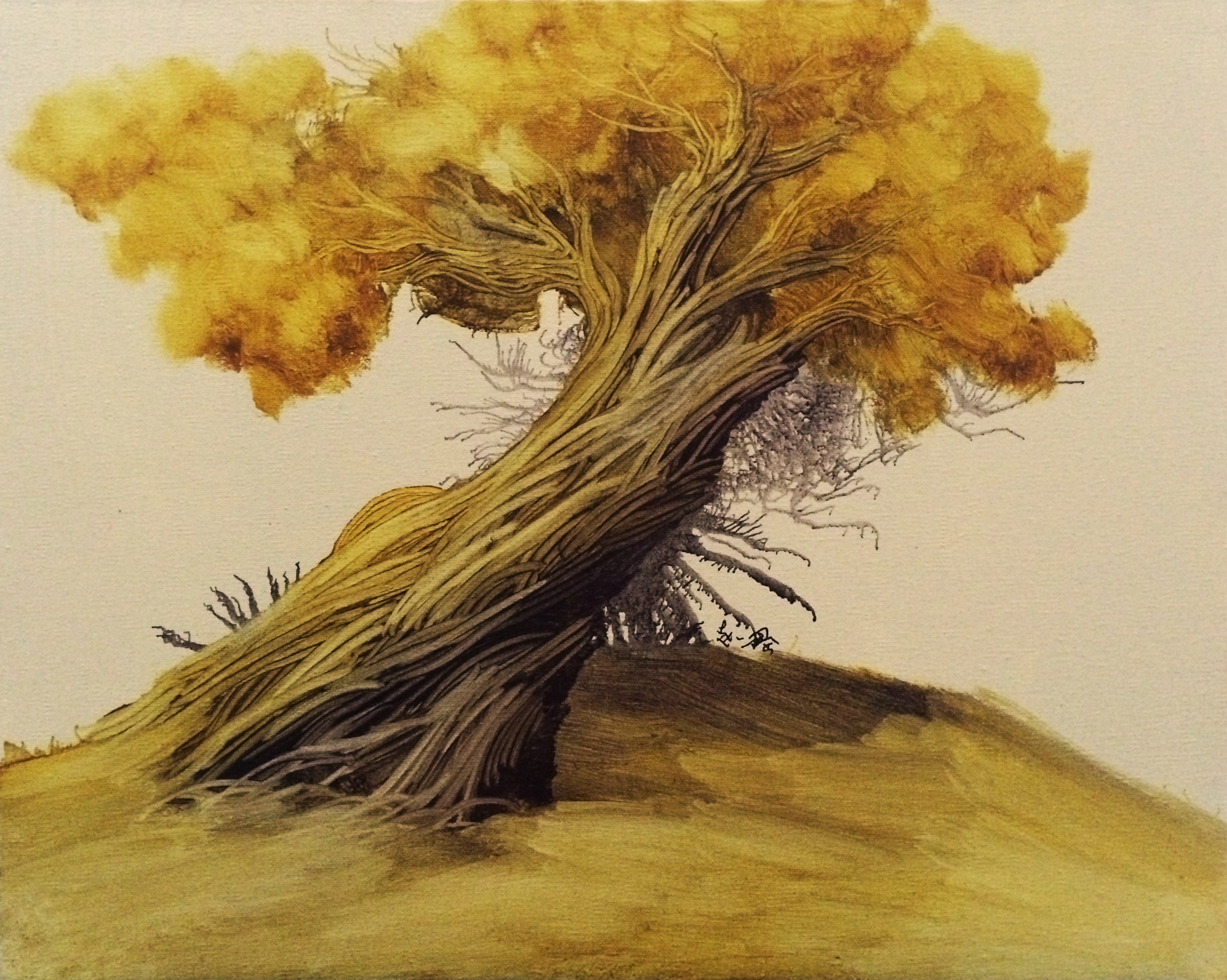 赵一鑫油画作品《胡杨》天津美院