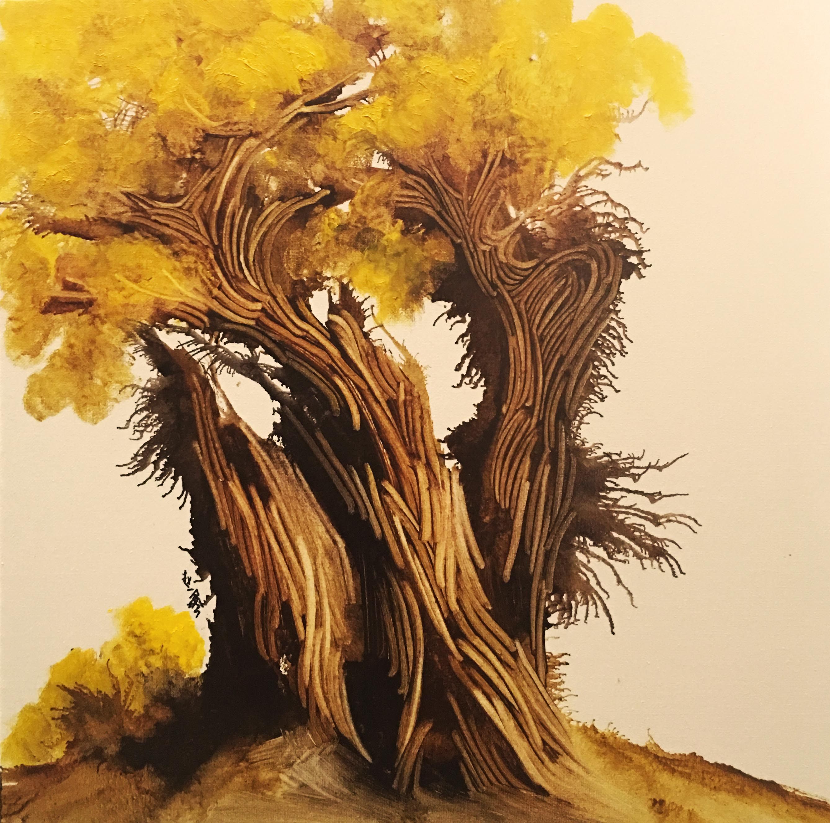 赵一鑫油画作品《金色胡杨系列》天津美院