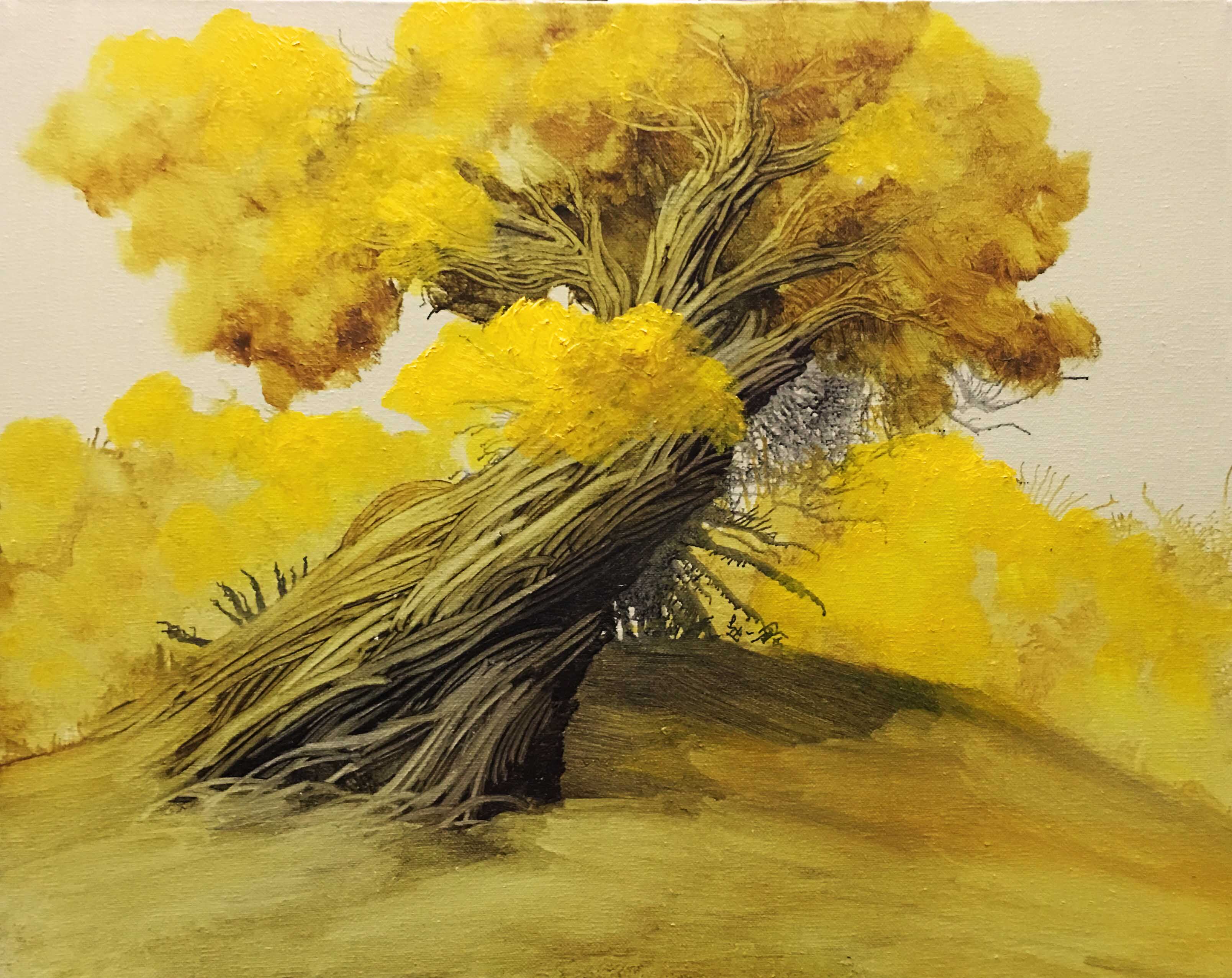 赵一鑫油画作品《金秋系列》天津美院