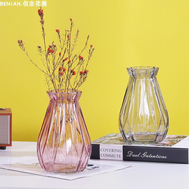 小清新玻璃花瓶透明插花水培鲜花干花装饰品摆件茶几桌面创意花器