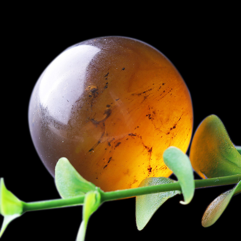 11.61g 棕琥珀植物特色单珠(强荧光)t20-61