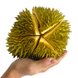 泰国小巴掌榴莲3-4斤金枕头干尧榴莲新鲜水果猫山王榴莲一件