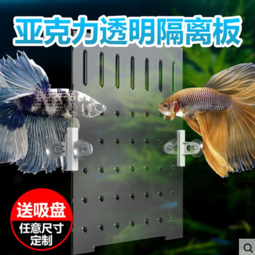 鱼缸隔离板吸盘夹亚克力隔板分离板透明隔离网盖板鱼缸挡板配件隔其它