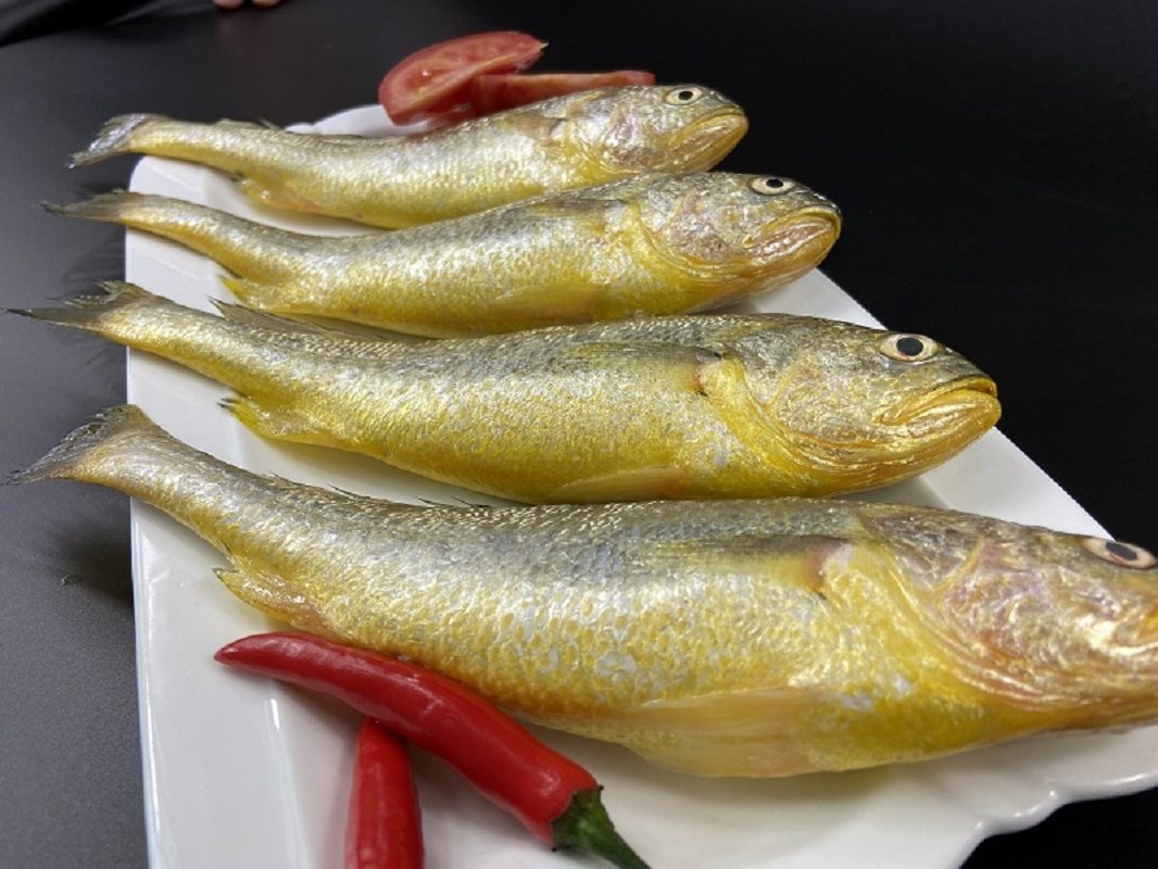 新鲜大黄鱼