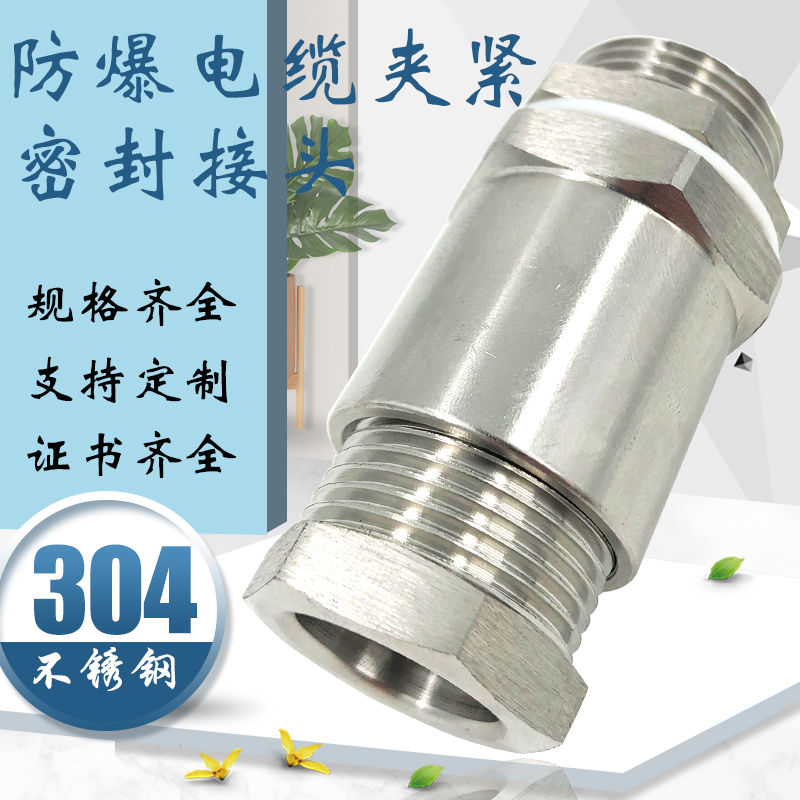 防爆格格兰头G1/2螺纹BDM-VI 304不锈钢电缆密封夹紧接头