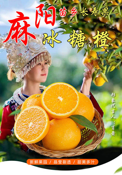 麻阳冰糖橙宣传片图片
