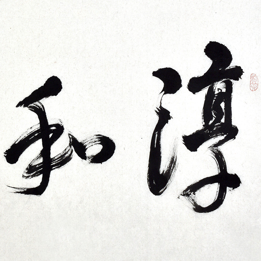 李晓燕 《精品书法系列 淳和者寿》中书协