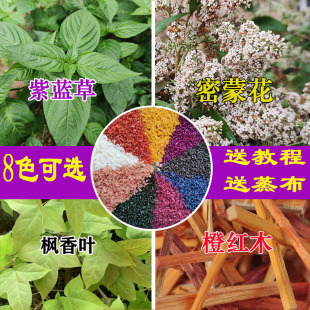 壮族三月三糯米饭颜色花植物染料五彩红蓝叶清明节黄米饭花枫香叶