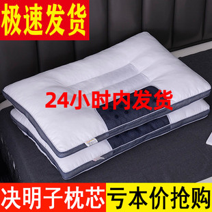 决明子枕头单人一对装家用双人薰衣草护颈椎枕芯助睡眠荞麦皮整头