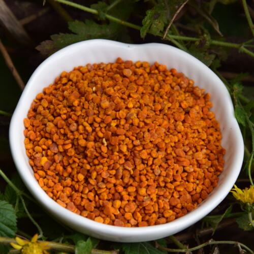 「Warm ear」 Tea pollen fresh machining Alpine natural Tea pollen Activity nourishin the Traditional nourishing food , Bee , Bee Pollen category - from Buy2taobao.com to provide professional Taobao agent buy service