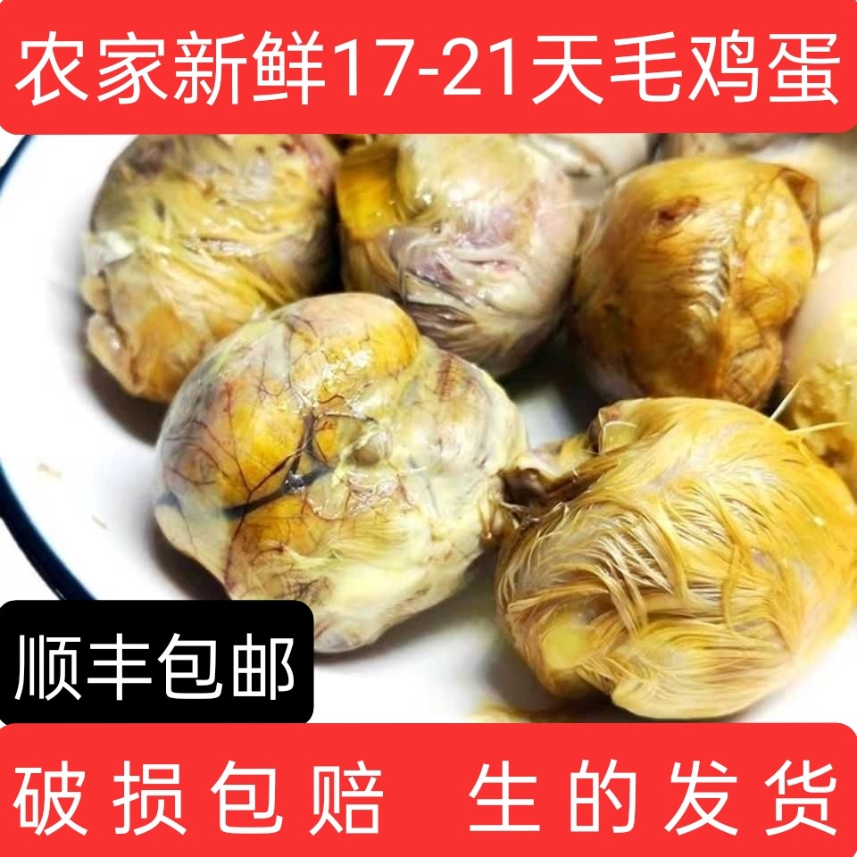 新鲜毛鸡蛋烧烤专用18天21天全鸡