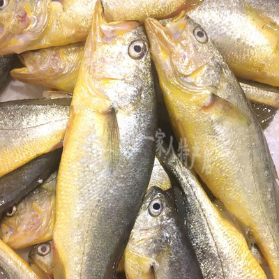 宁波石浦东海深海黄鱼黄花鱼2斤装68条淡水鱼类