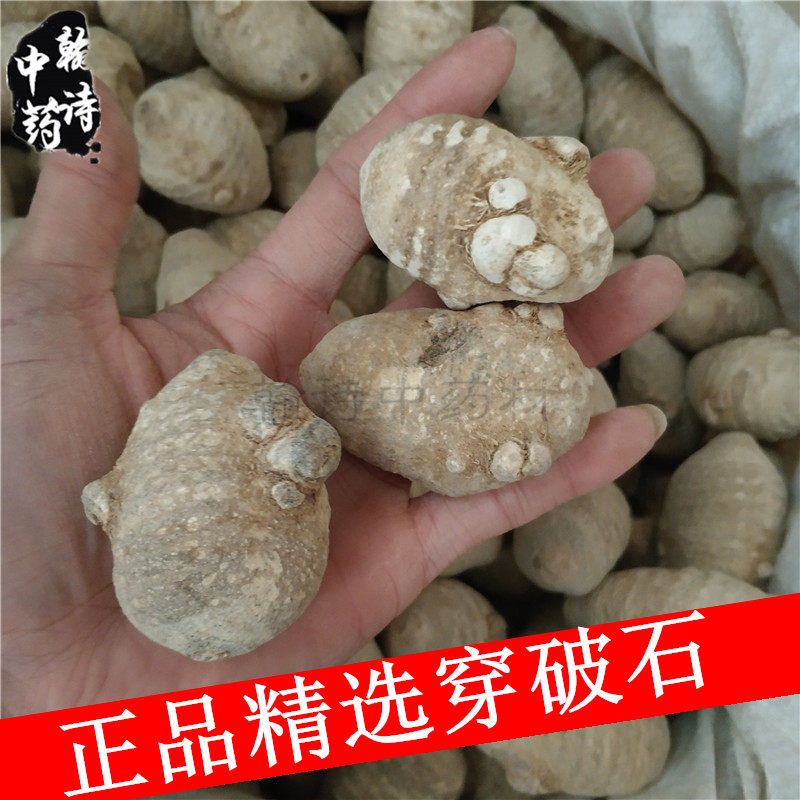 中药材穿破石500g 化结石云南苗家特产中草药泡酒料药酒料