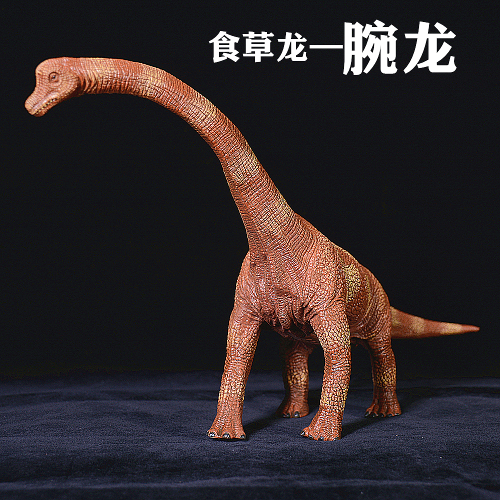实心仿真塑胶恐龙模型 腕龙 长脖龙 食草龙 3-6-9儿童礼物