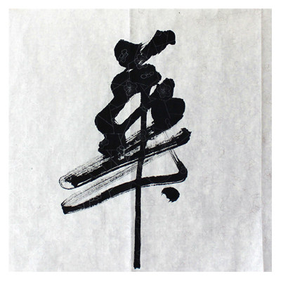 赵永争《风华正茂》巨幅1.8米 中国书法家协会会员