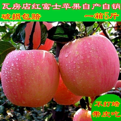 新鲜苹果新鲜水果瓦房店苹果酸甜农家绿色红富士吃的苹果一份包邮