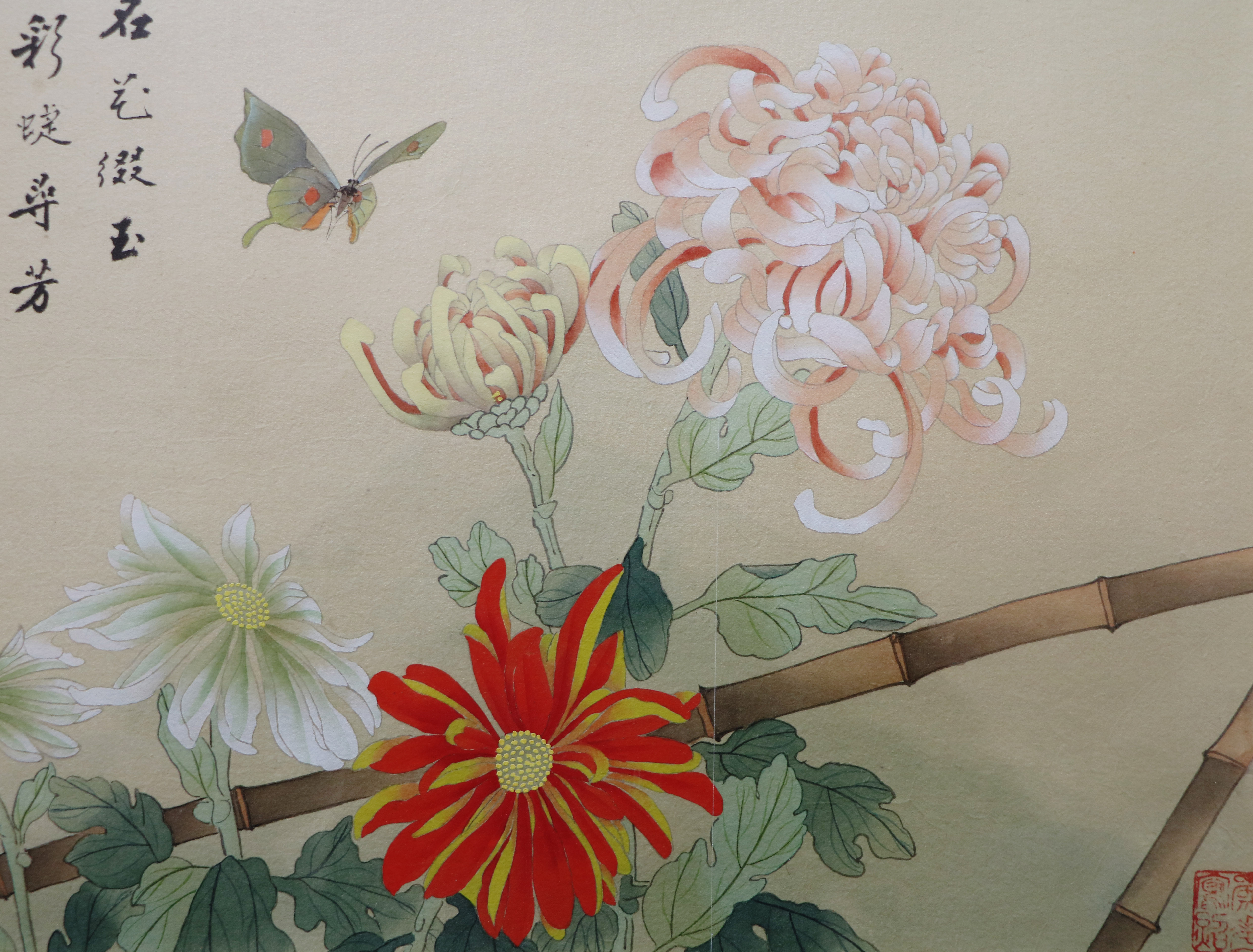 梁弘《工笔花卉》中美协会员 江苏花鸟研究会理事