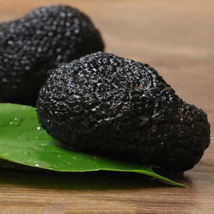 冰鲜黑松露菌云南特产白松露菌菇500g新鲜黑松露猪拱菌块菌松露菌