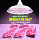 2024新规生鲜灯照肉LED猪肉灯牛羊肉蔬菜灯水果灯吊灯专用隐形红