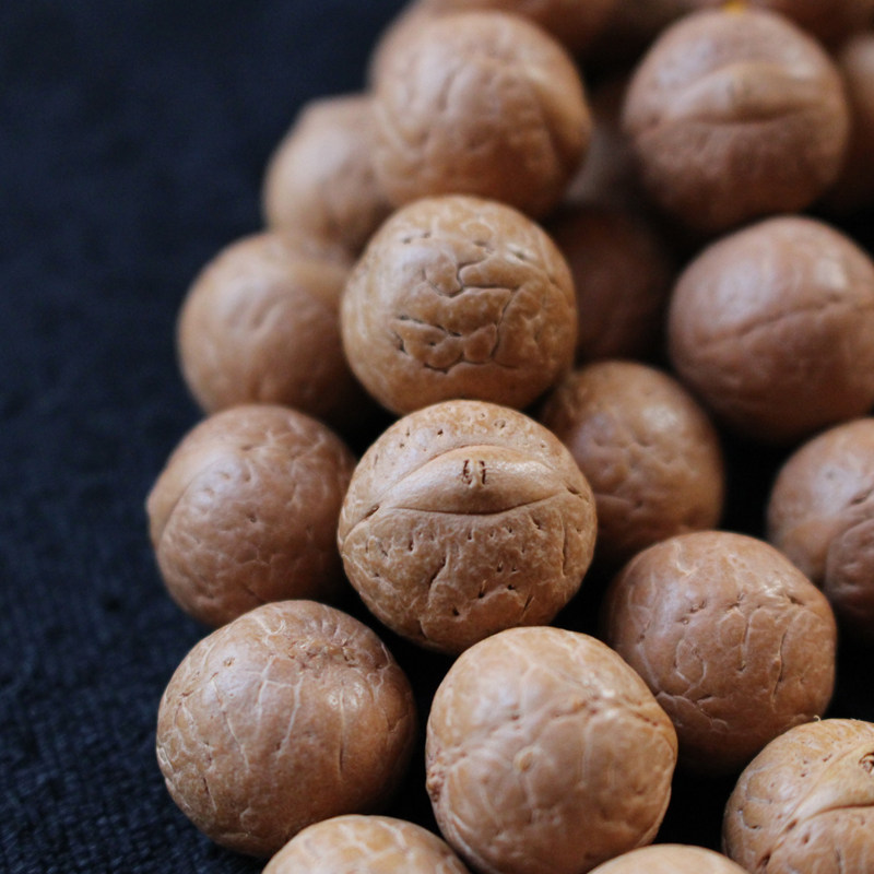 吉仲法王加持收藏凤眼菩提念珠