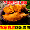 番薯糖心红心新鲜西瓜红番薯新鲜农家自种番薯板栗5斤包邮10|ms 番薯糖心红心新鲜西瓜红番薯新鲜农家自种番薯板栗5斤包邮10|ms