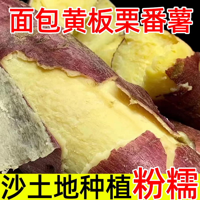 正宗面包黄板栗番薯新鲜地瓜黄心农家自种现挖现发10斤在类目 水产肉类/新鲜蔬果/熟食, 新鲜蔬菜/蔬菜制品, 新鲜蔬菜, 番薯中 - 来自Buy2taobao.com提供专业的淘宝代购服务