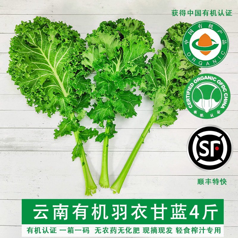 云南有机羽衣甘蓝2kg 无农药新鲜现摘榨汁专用轻食健身营养食材