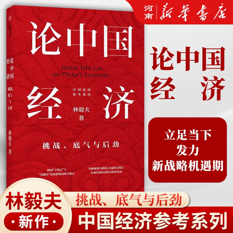 论中国经济 挑战底气与后劲 林毅夫 林毅夫解读中国经济 分析“十四五”与“双循环”中信出版社经济理论