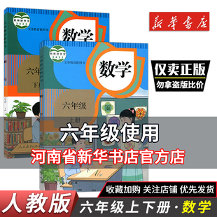 六年级数学课本全套 小学教材人教版6六年级数学上下册教科书课本人民教育出版社六年级上下册数学全套二2本课本教材数学6上下学期